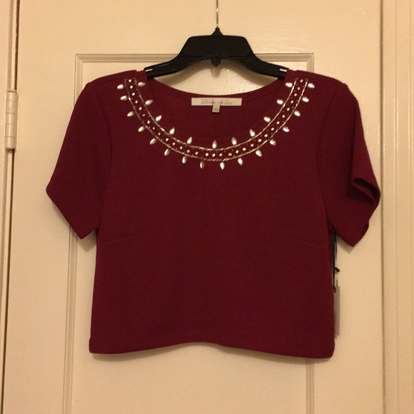 Lovers + Friends Tops - NWT Lovers + Friends Crop Top